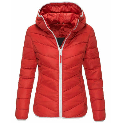 Jacket Pure Color Hooded Cotton Jacket Women Korean Casual Warm